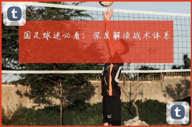 国足球迷必看：深度解读战术体系