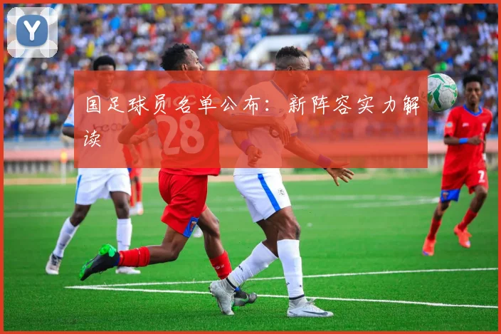 国足球员名单公布:新阵容实力解读
