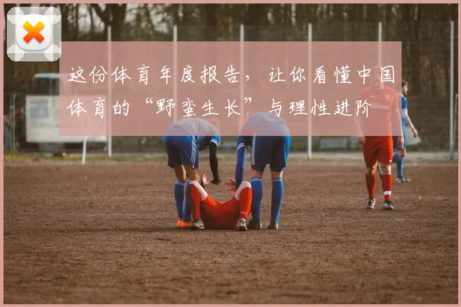 这份体育年度报告，让你看懂中国体育的“野蛮生长”与理性进阶